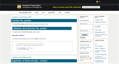Desktop Screenshot of analyste-programmeur.com